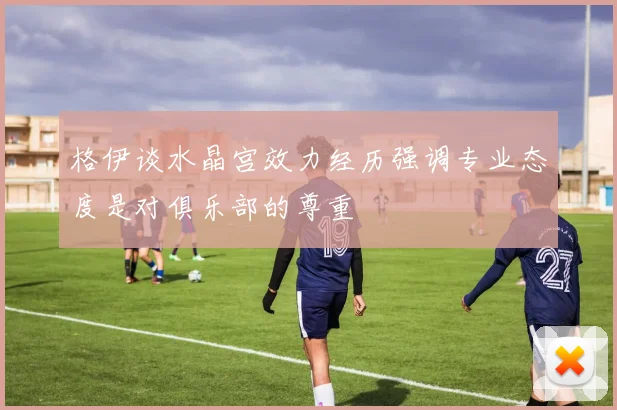 格伊谈水晶宫效力经历强调专业态度是对俱乐部的尊重