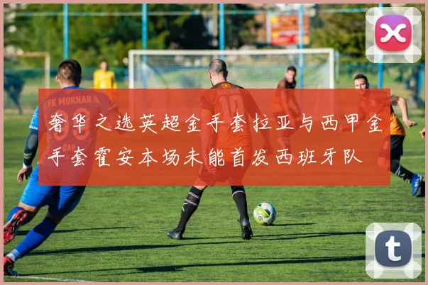 奢华之选英超金手套拉亚与西甲金手套霍安本场未能首发西班牙队
